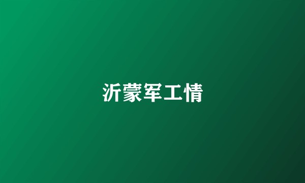 沂蒙军工情