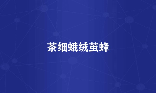 茶细蛾绒茧蜂