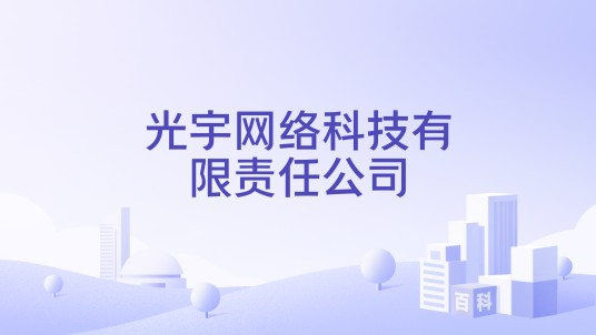 光宇网络科技有限责任公司
