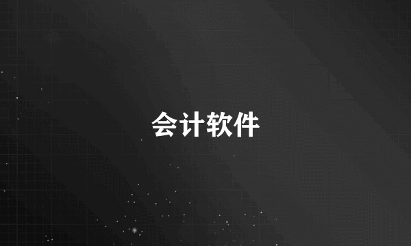 会计软件