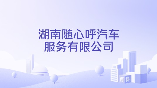 湖南随心呼汽车服务有限公司