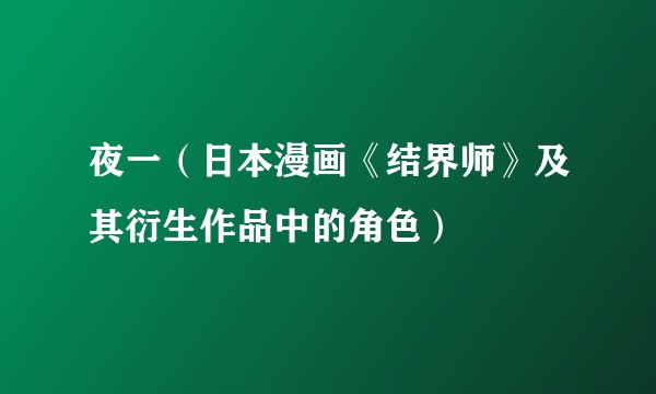 夜一（日本漫画《结界师》及其衍生作品中的角色）