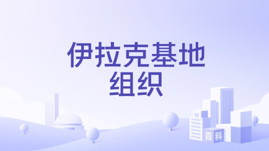 伊拉克基地组织
