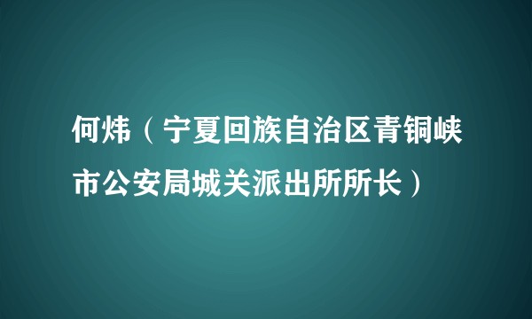 何炜(宁夏回族自治区青铜峡市公安局城关派出所所长)