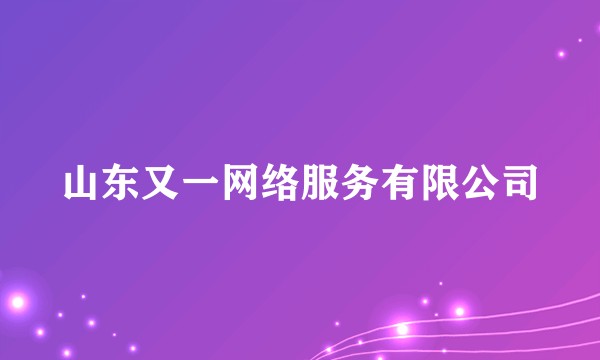 山东又一网络服务有限公司
