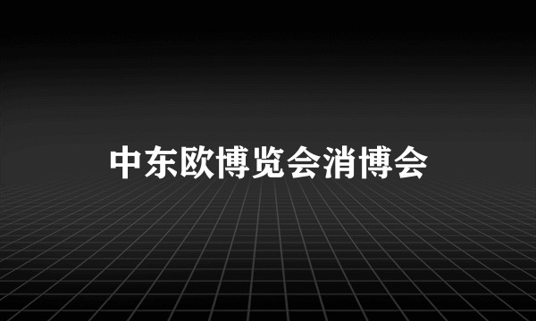 中东欧博览会消博会