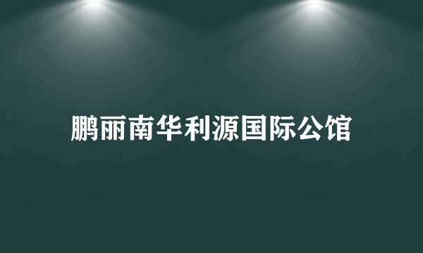 鹏丽南华利源国际公馆