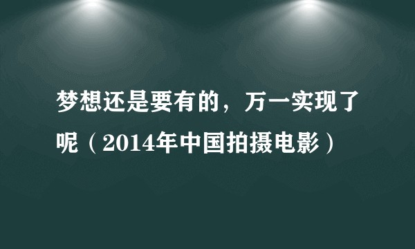 梦想还是要有的，万一实现了呢（2014年中国拍摄电影）