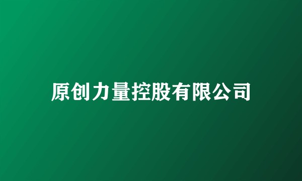 原创力量控股有限公司