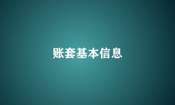 账套基本信息