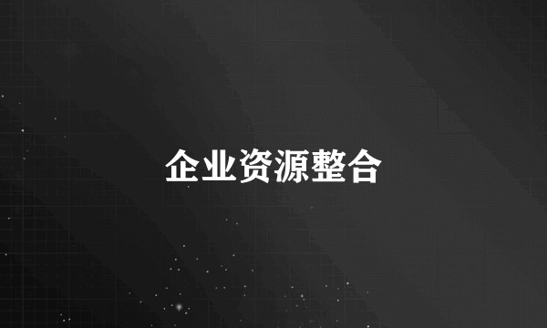 企业资源整合