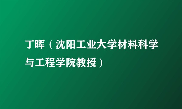 丁晖（沈阳工业大学材料科学与工程学院教授）