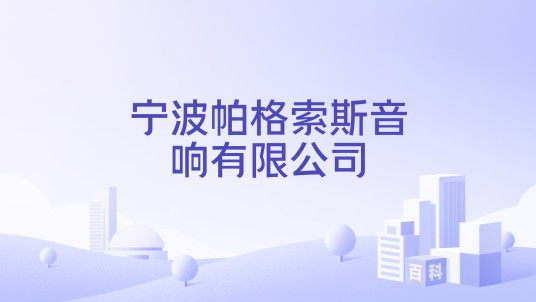 宁波帕格索斯音响有限公司