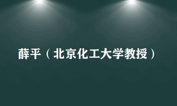 薛平（北京化工大学教授）