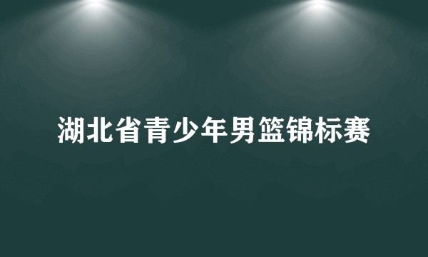 湖北省青少年男篮锦标赛