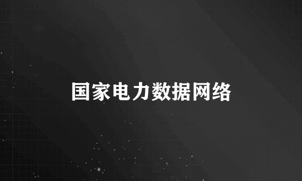 国家电力数据网络