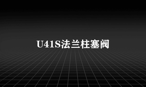 U41S法兰柱塞阀