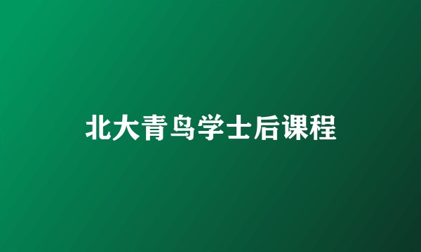 北大青鸟学士后课程