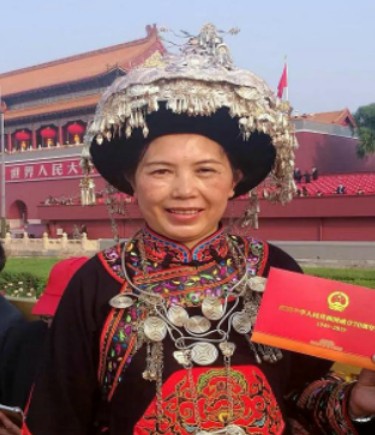 王菁（全国人大代表）
