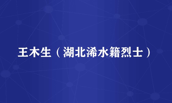 王木生（湖北浠水籍烈士）