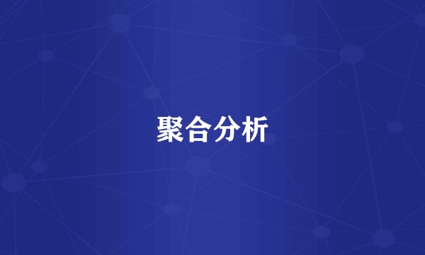 聚合分析
