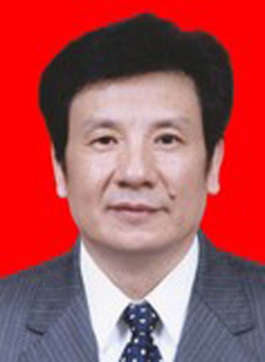 王厚军（中共湖北省委第四巡视组原副组长）