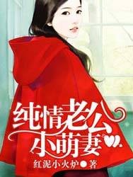纯情老公小萌妻（红泥小火炉创作的网络小说作品）