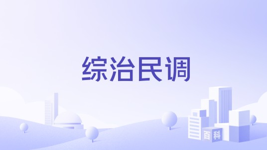 综治民调