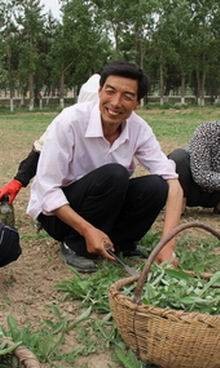 张世忠(全国优秀共产党员)