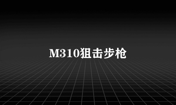 M310狙击步枪