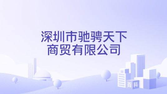 深圳市驰骋天下商贸有限公司