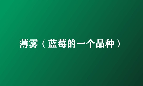 薄雾（蓝莓的一个品种）