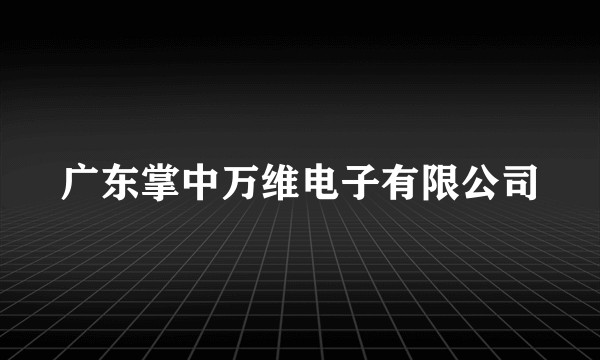 广东掌中万维电子有限公司