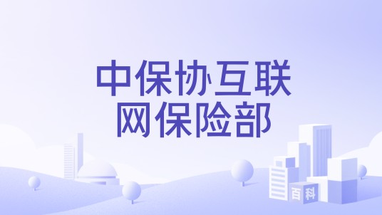 中保协互联网保险部