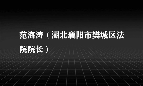范海涛（湖北襄阳市樊城区法院院长）