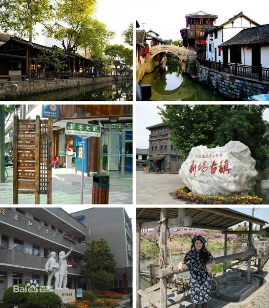 新场镇(上海市浦东新区下辖镇)