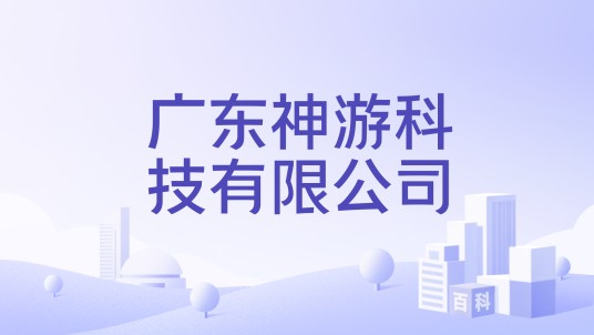 广东神游科技有限公司