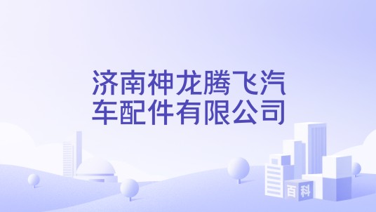 济南神龙腾飞汽车配件有限公司