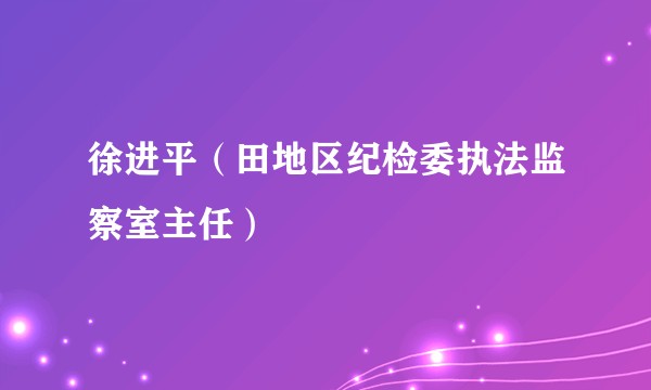 徐进平（田地区纪检委执法监察室主任）