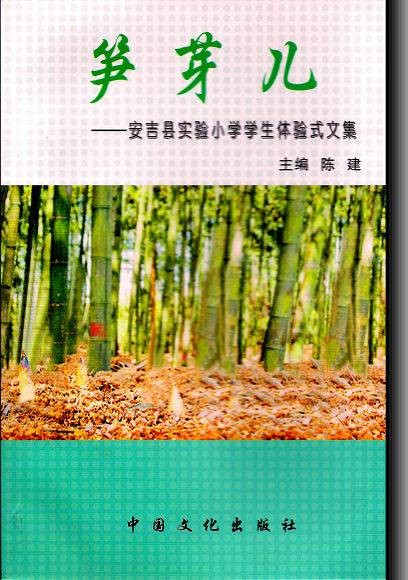 笋芽儿(2011年中国文化出版社出版的图书)