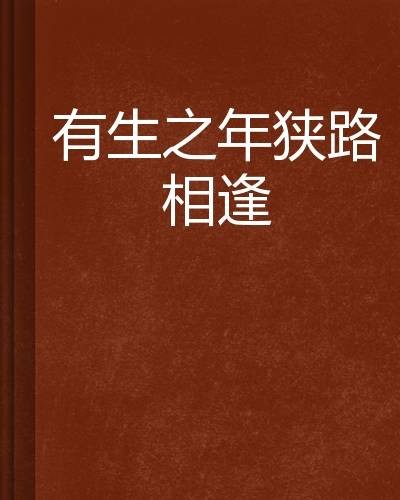 有生之年狭路相逢（梅子黄时雨创作的网络小说作品）