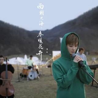 面朝大海,春暖花开(李宇春演唱单曲)