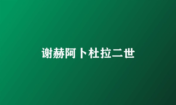 谢赫阿卜杜拉二世
