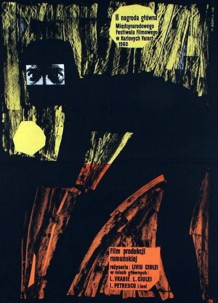 多瑙河之波（罗马尼亚1960年利维乌·丘莱伊执导的电影）