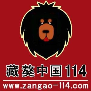 藏獒中国114网