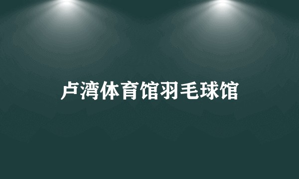 卢湾体育馆羽毛球馆