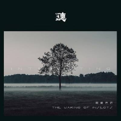 listen（音阙诗听/Sia-Frie演唱歌曲）