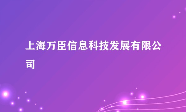 上海万臣信息科技发展有限公司