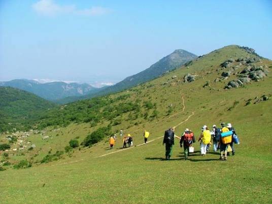 大姆山草场