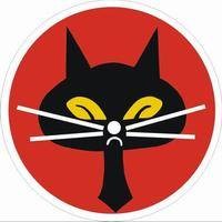 黑猫中队